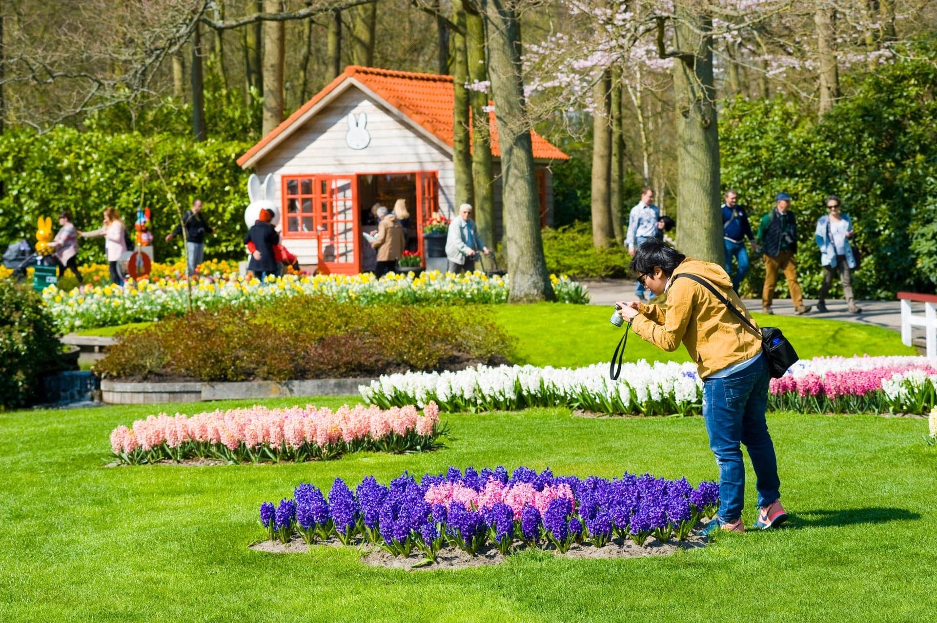 vstupenka na keukenhof amsterdam ()